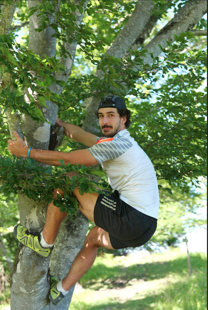 titouan laurin dans un arbre